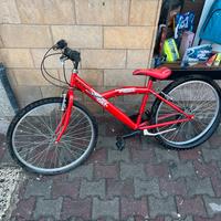 bicicletta 24