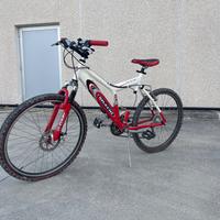 Bicicletta MTB Stucchi