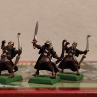 Guerrieri Ombra - Alti Elfi, Warhammer