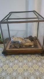 Antico Bambinello in cera con teca