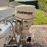 Motore EVINRUDE E-TEC 90