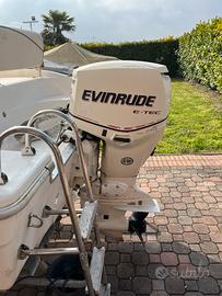 Motore EVINRUDE E-TEC 90