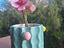 Immagine 4