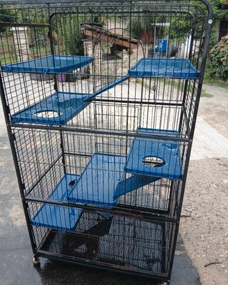 gabbia per cincillà 