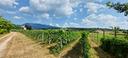 ter-agricolo-a-caprino-veronese