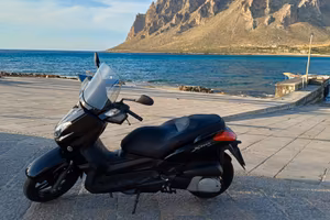 X MAX 250