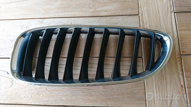 griglie anteriori BMW Z4 E89 (anno 2009)