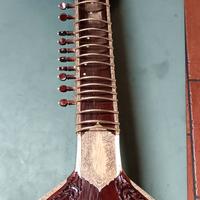 Sitar indiano artigianale con custodia rigida