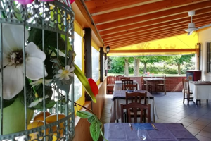 Attività di Ristorante, pizzeria, bar, campi gioco