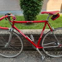 Bici da corsa RAULER perfetta
