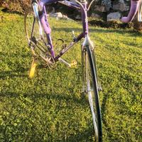 Bici da Corsa Columbus Dal Molin freni C-delta