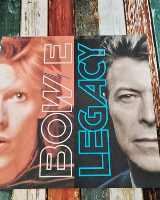 vinili david bowie e rage againts the machine