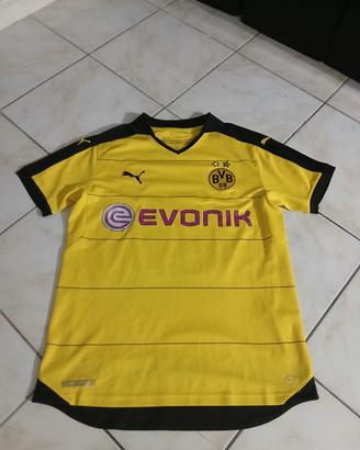 Maglia Borussia Dortmund 2012/2013 