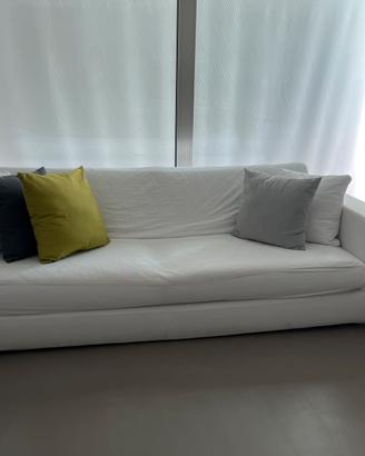 Divani