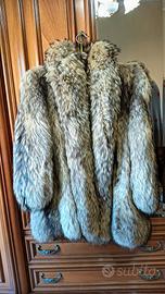 Pelliccia Murmasky, Montoni uomo/donna