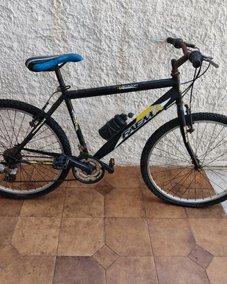 bicicletta 