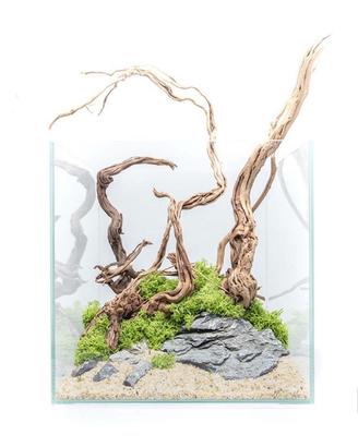 Acquario AQPET kubic 30