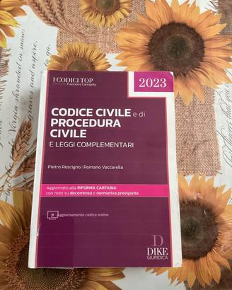 Codice civile e di procedura civile