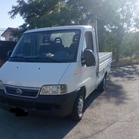 Fiat ducato cassonato