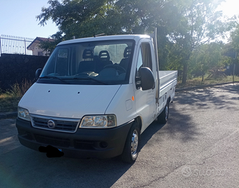 Fiat ducato cassonato