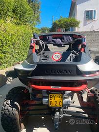 Buggy per disabili e non