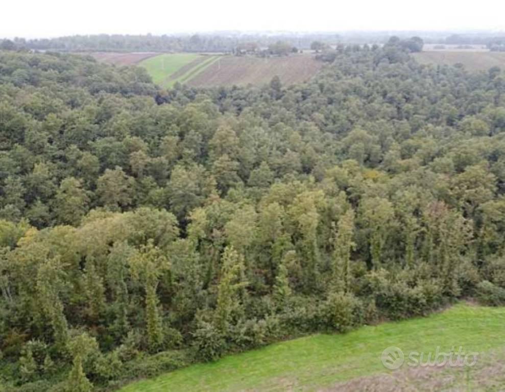 Immobile in asta di 1106 m² a Castel Giorgio - Altro