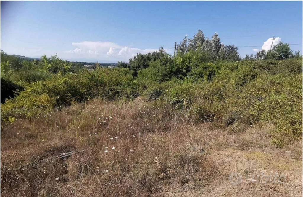 Immobile in asta di 6780 m² a Castelfiorentino - Vista 5
