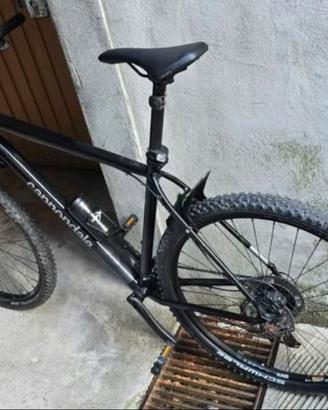 Mtb xl 29