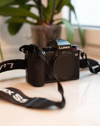 FOTOCAMERA LUMIX S5 + obbiettivi 20-60mm  50mm 1.8