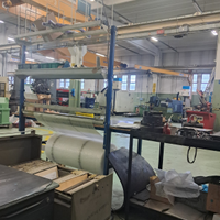 Ditta produzione coppie viti