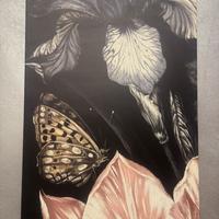 Quadro Design Fiori e Farfalle