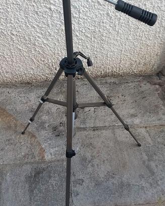 CAVALLETTO
