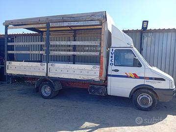 Daily 35.10 centinato