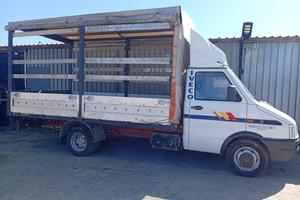 Daily 35.10 centinato