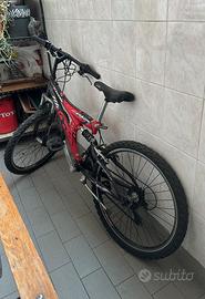 Bici per ragazzo