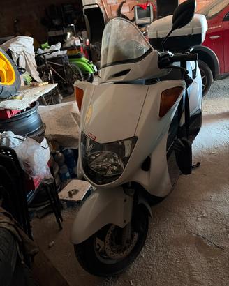 HONDA DIRT BIKE