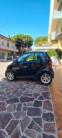 Smart 1000 cc