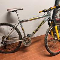 Mountain bike freno a disco e ammortizzatore