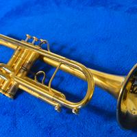 Tromba G&P Flora Special edition  F.  Bosso