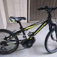 Mountain bike bambino