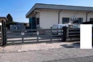 Rge 169/2023 Tribunale Verona