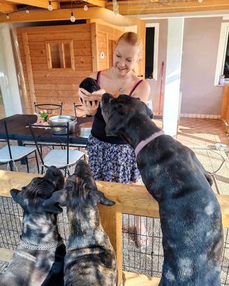 COACHING E CONSULENZE CANE CORSO