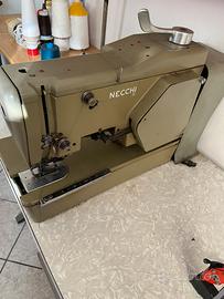 Asolatrice/occhiellatrice