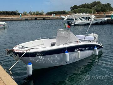 Barca Calipso 20 con motore Honda 115 cv