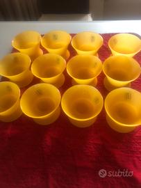 12 Coppette “ Guzzini”nuove