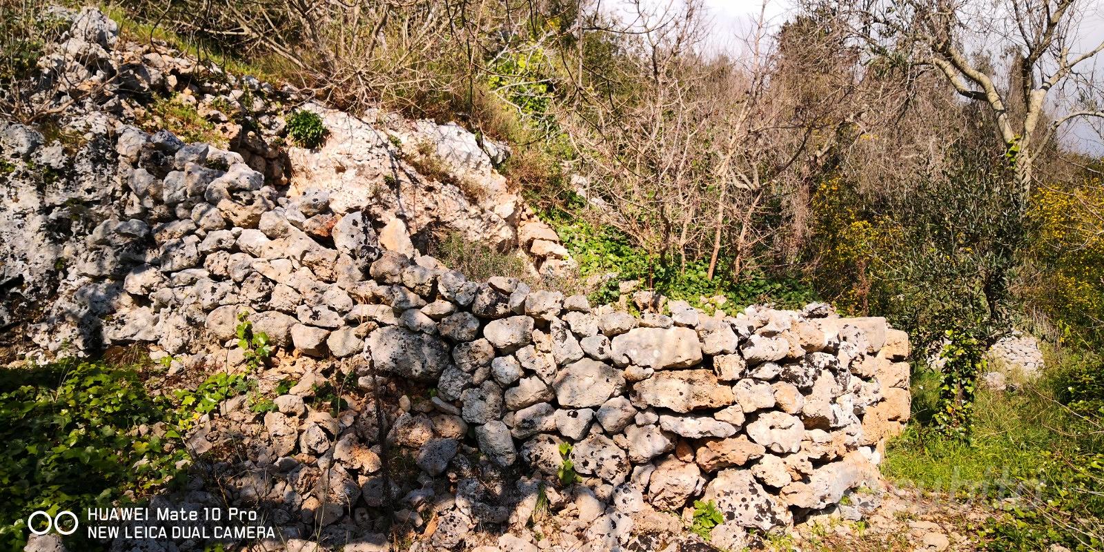 Terreno e pajara - Vista 3