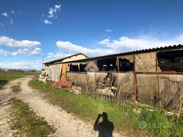 TER. AGRICOLO A CASTELBELFORTE