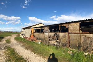 TER. AGRICOLO A CASTELBELFORTE