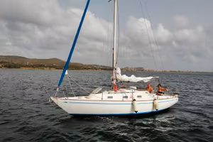  Alpa 8.25