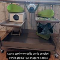Gabbia roditori